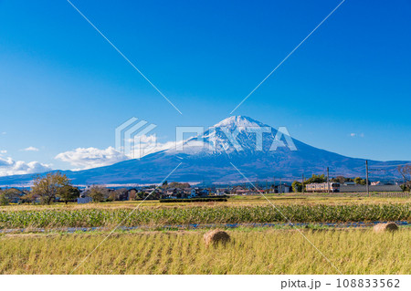 （静岡県）稲刈りの済んだ田んぼの向こうに富士山 108833562