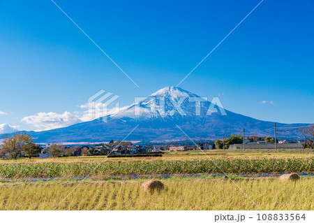 (静岡県)稲刈りの済んだ田んぼの向こうに富士山 (静岡県)稲刈りの済んだ田んぼの向こうに富士山 108833564