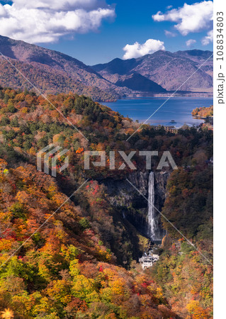 《栃木県》紅葉最盛期の奥日光・明智平の眺望 108834803