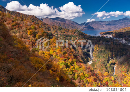《栃木県》紅葉最盛期の奥日光・明智平の眺望 《栃木県》紅葉最盛期の奥日光・明智平の眺望 108834805