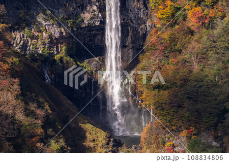 《栃木県》紅葉最盛期の奥日光・明智平の眺望 108834806