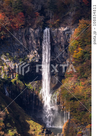 《栃木県》紅葉最盛期の奥日光・明智平の眺望 108834811