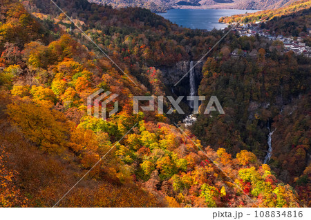 《栃木県》紅葉最盛期の奥日光・明智平の眺望 108834816