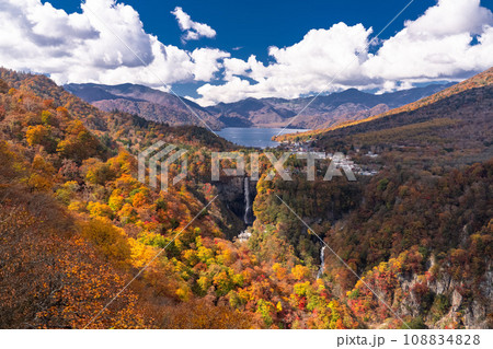 《栃木県》紅葉最盛期の奥日光・明智平の眺望 108834828