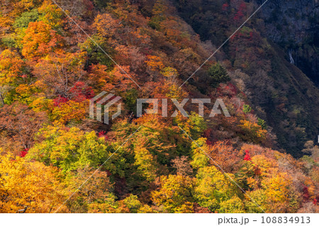 《栃木県》紅葉最盛期の奥日光・明智平の眺望 《栃木県》紅葉最盛期の奥日光・明智平の眺望 108834913