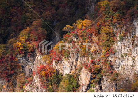 《栃木県》紅葉最盛期の奥日光・明智平の眺望 《栃木県》紅葉最盛期の奥日光・明智平の眺望 108834917