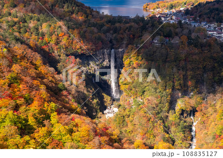 《栃木県》紅葉最盛期の奥日光・明智平の眺望 108835127