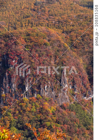 《栃木県》紅葉最盛期の奥日光・明智平の眺望 108835168
