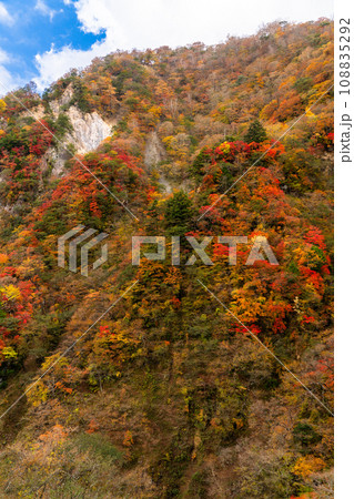 《栃木県》紅葉最盛期の奥日光 《栃木県》紅葉最盛期の奥日光 108835292