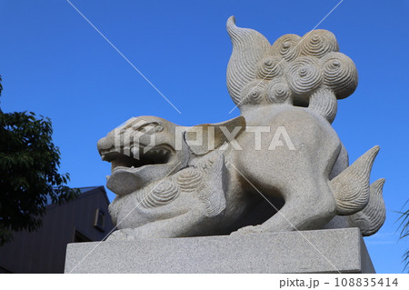 青島神社の狛犬 108835414
