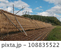 稲架掛けのある風景 108835522