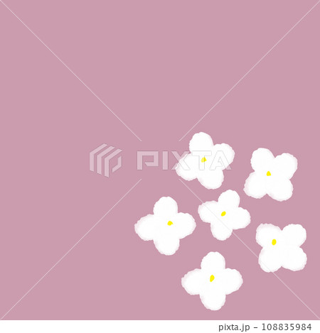 白い花のイラスト 108835984