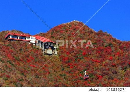【長崎県】快晴の雲仙仁田峠の紅葉（雲仙ロープウェイ） 108836274