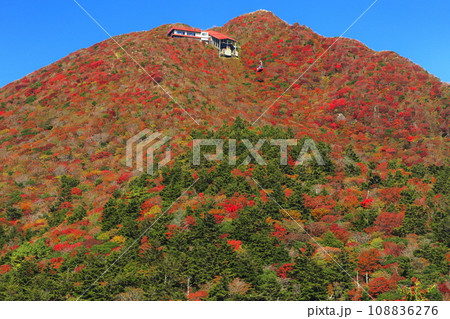 【長崎県】快晴の雲仙仁田峠の紅葉（雲仙ロープウェイ） 108836276