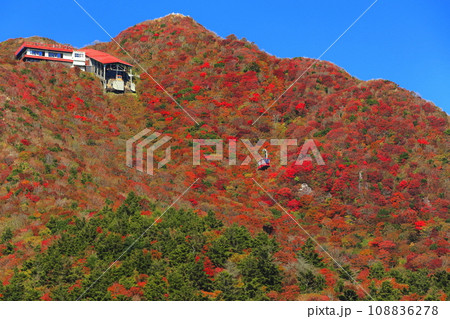 【長崎県】快晴の雲仙仁田峠の紅葉（雲仙ロープウェイ） 108836278