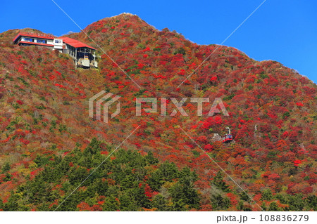 【長崎県】快晴の雲仙仁田峠の紅葉（雲仙ロープウェイ） 108836279