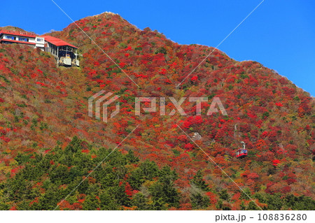 【長崎県】快晴の雲仙仁田峠の紅葉（雲仙ロープウェイ） 108836280
