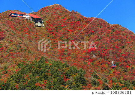 【長崎県】快晴の雲仙仁田峠の紅葉（雲仙ロープウェイ） 108836281