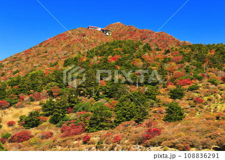 【長崎県】快晴の雲仙仁田峠の紅葉（雲仙ロープウェイ） 108836291