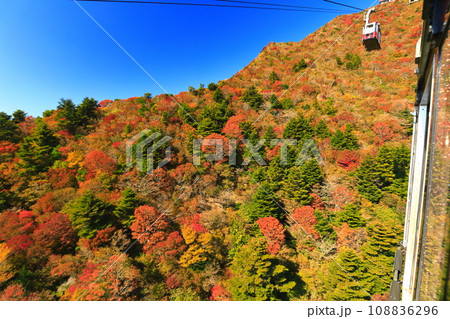 【長崎県】快晴の雲仙仁田峠の紅葉(雲仙ロープウェイ) 【長崎県】快晴の雲仙仁田峠の紅葉(雲仙ロープウェイ) 108836296