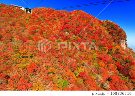 【長崎県】快晴の雲仙仁田峠の紅葉(雲仙ロープウェイ) 【長崎県】快晴の雲仙仁田峠の紅葉(雲仙ロープウェイ) 108836316
