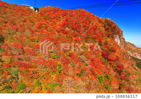 【長崎県】快晴の雲仙仁田峠の紅葉（雲仙ロープウェイ） 108836317