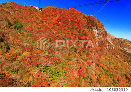 【長崎県】快晴の雲仙仁田峠の紅葉(雲仙ロープウェイ) 【長崎県】快晴の雲仙仁田峠の紅葉(雲仙ロープウェイ) 108836319