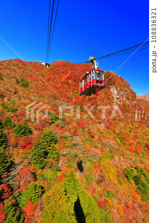 【長崎県】快晴の雲仙仁田峠の紅葉(雲仙ロープウェイ) 【長崎県】快晴の雲仙仁田峠の紅葉(雲仙ロープウェイ) 108836321