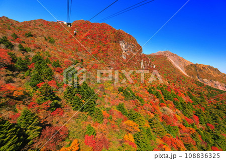 【長崎県】快晴の雲仙仁田峠の紅葉(雲仙ロープウェイ) 【長崎県】快晴の雲仙仁田峠の紅葉(雲仙ロープウェイ) 108836325