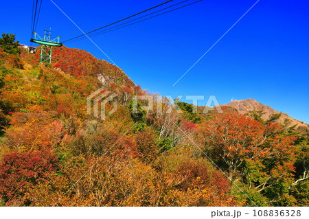 【長崎県】快晴の雲仙仁田峠の紅葉(雲仙ロープウェイ) 【長崎県】快晴の雲仙仁田峠の紅葉(雲仙ロープウェイ) 108836328