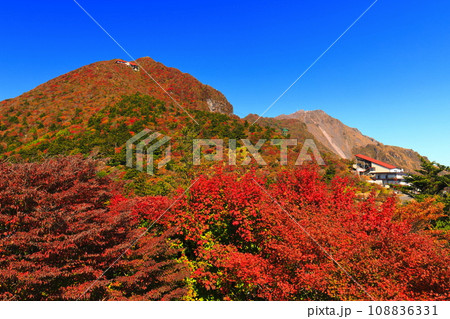 【長崎県】快晴の雲仙仁田峠の紅葉（雲仙ロープウェイ） 108836331