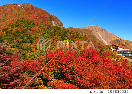 【長崎県】快晴の雲仙仁田峠の紅葉(雲仙ロープウェイ) 【長崎県】快晴の雲仙仁田峠の紅葉(雲仙ロープウェイ) 108836332