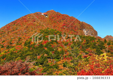 【長崎県】快晴の雲仙仁田峠の紅葉（雲仙ロープウェイ） 108836333