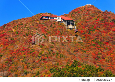 【長崎県】快晴の雲仙仁田峠の紅葉（雲仙ロープウェイ） 108836337