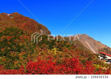 【長崎県】快晴の雲仙仁田峠の紅葉(雲仙ロープウェイ) 【長崎県】快晴の雲仙仁田峠の紅葉(雲仙ロープウェイ) 108836338