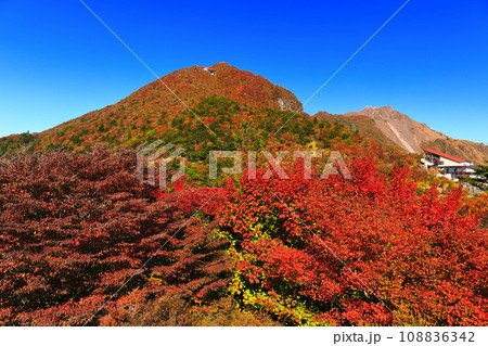 【長崎県】快晴の雲仙仁田峠の紅葉(雲仙ロープウェイ) 【長崎県】快晴の雲仙仁田峠の紅葉(雲仙ロープウェイ) 108836342