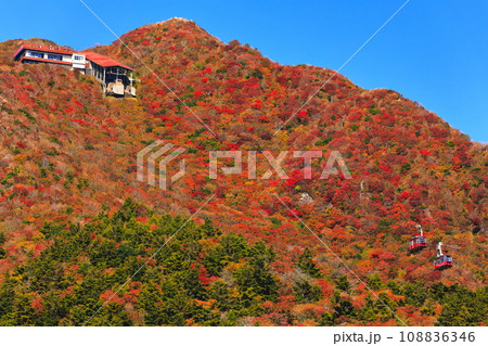 【長崎県】快晴の雲仙仁田峠の紅葉(雲仙ロープウェイ) 【長崎県】快晴の雲仙仁田峠の紅葉(雲仙ロープウェイ) 108836346