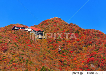 【長崎県】快晴の雲仙仁田峠の紅葉(雲仙ロープウェイ) 【長崎県】快晴の雲仙仁田峠の紅葉(雲仙ロープウェイ) 108836352