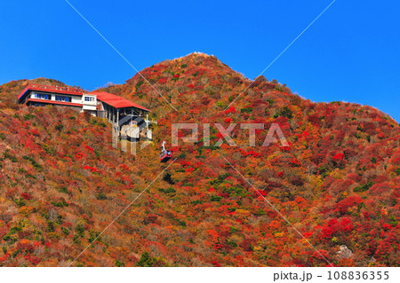 【長崎県】快晴の雲仙仁田峠の紅葉(雲仙ロープウェイ) 【長崎県】快晴の雲仙仁田峠の紅葉(雲仙ロープウェイ) 108836355