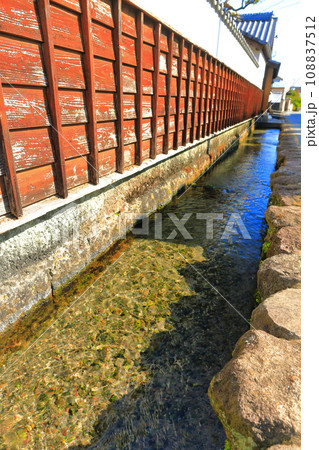 【長崎県】快晴の島原　鯉の水辺路（鯉の泳ぐまち） 108837512