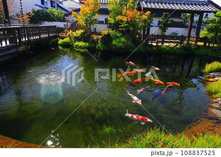 【長崎県】快晴の島原 清流亭(鯉の泳ぐまち観光交流センター) 【長崎県】快晴の島原 清流亭(鯉の泳ぐまち観光交流センター) 108837525