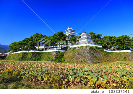 【長崎県】快晴の島原城天守閣（改修工事後） 108837541