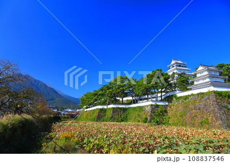 【長崎県】快晴の憤然普賢岳と島原城天守閣（改修工事後） 108837546