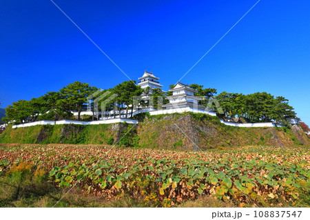 【長崎県】快晴の島原城天守閣（改修工事後） 108837547