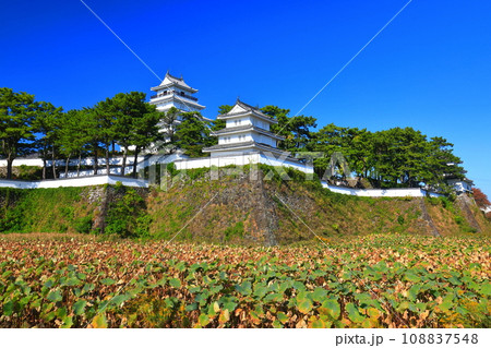 【長崎県】快晴の島原城天守閣（改修工事後） 108837548