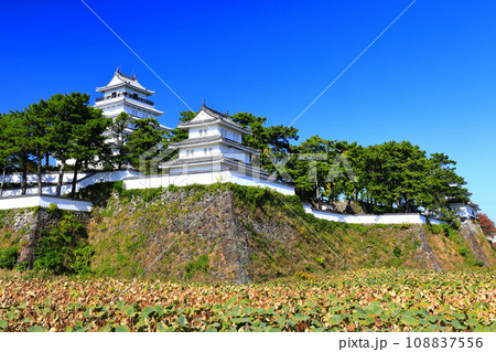 【長崎県】快晴の島原城天守閣(改修工事後) 【長崎県】快晴の島原城天守閣(改修工事後) 108837556