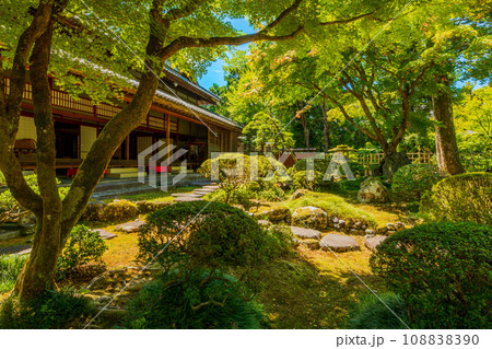 新潟県 田巻家住宅 椿寿荘 新潟県 田巻家住宅 椿寿荘 108838390