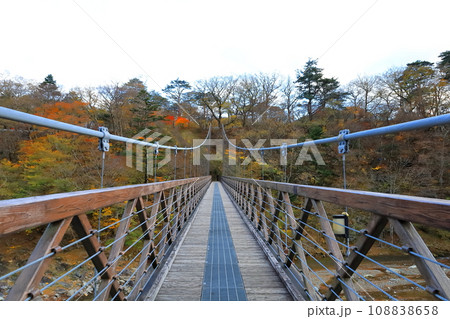 秋の塩原渓谷の七つ岩吊橋/栃木県那須塩原市 秋の塩原渓谷の七つ岩吊橋/栃木県那須塩原市 108838658