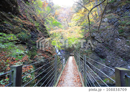紅葉の塩原渓谷ハイキング 竜化の滝コース/栃木県那須塩原市 紅葉の塩原渓谷ハイキング 竜化の滝コース/栃木県那須塩原市 108838709