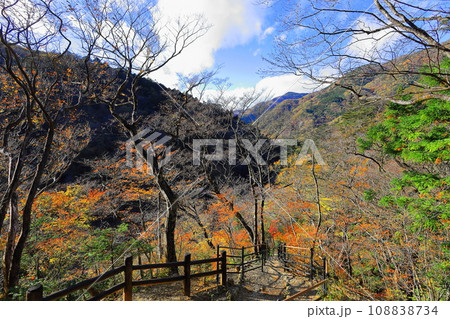 塩原渓谷 回顧の吊り橋 急坂コース/栃木県那須塩原市 塩原渓谷 回顧の吊り橋 急坂コース/栃木県那須塩原市 108838734